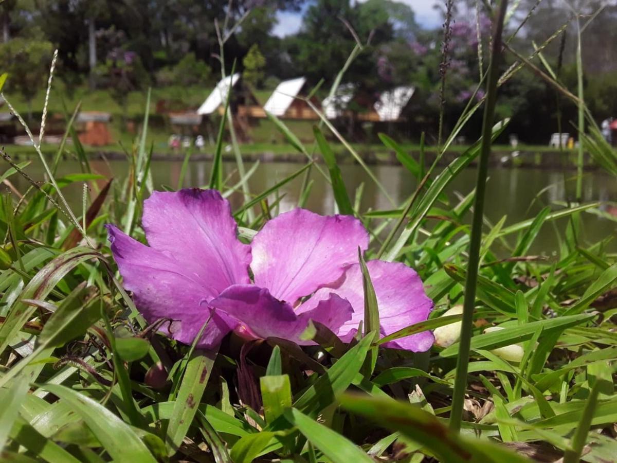Pesqueiro E Pousada Rota Do Sol โมจิดัสครูเซส ภายนอก รูปภาพ